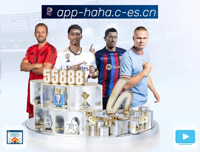 安全保障与稳定体验